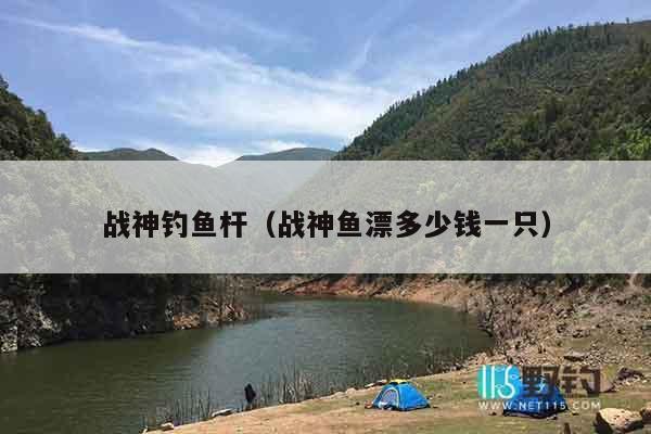 战神钓鱼杆（战神鱼漂多少钱一只）