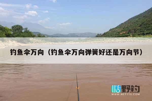 钓鱼伞万向（钓鱼伞万向弹簧好还是万向节）