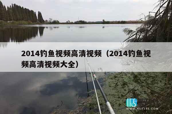 2014钓鱼视频高清视频（2014钓鱼视频高清视频大全）