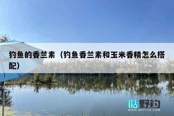 钓鱼的香兰素（钓鱼香兰素和玉米香精怎么搭配）