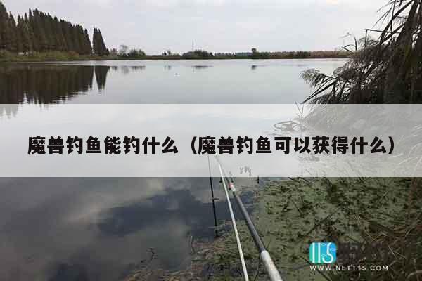 魔兽钓鱼能钓什么（魔兽钓鱼可以获得什么）