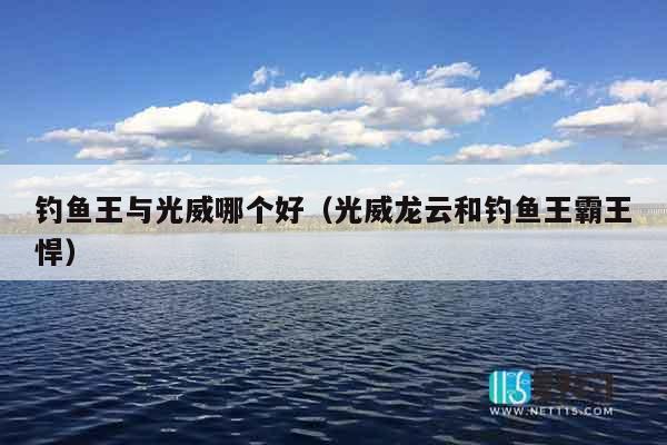 钓鱼王与光威哪个好（光威龙云和钓鱼王霸王悍）