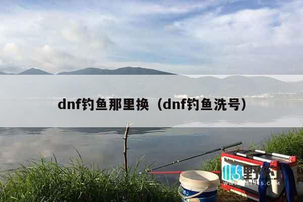 dnf钓鱼那里换（dnf钓鱼洗号）
