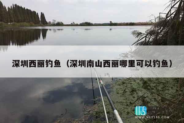 深圳西丽钓鱼（深圳南山西丽哪里可以钓鱼）