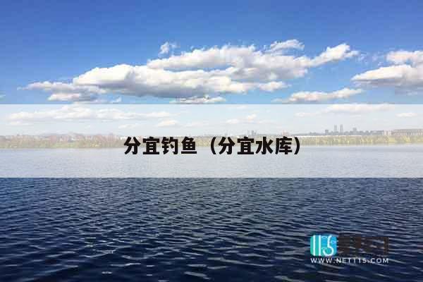 分宜钓鱼（分宜水库）