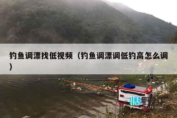 钓鱼调漂找低视频（钓鱼调漂调低钓高怎么调）