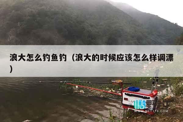 浪大怎么钓鱼钓（浪大的时候应该怎么样调漂）