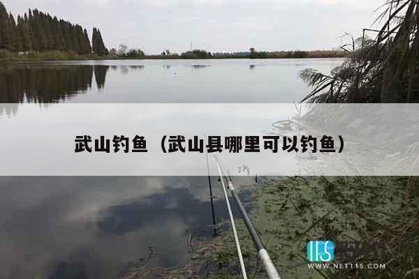 武山钓鱼（武山县哪里可以钓鱼）