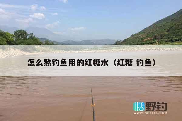 怎么熬钓鱼用的红糖水（红糖 钓鱼）