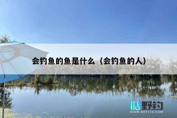 会钓鱼的鱼是什么（会钓鱼的人）