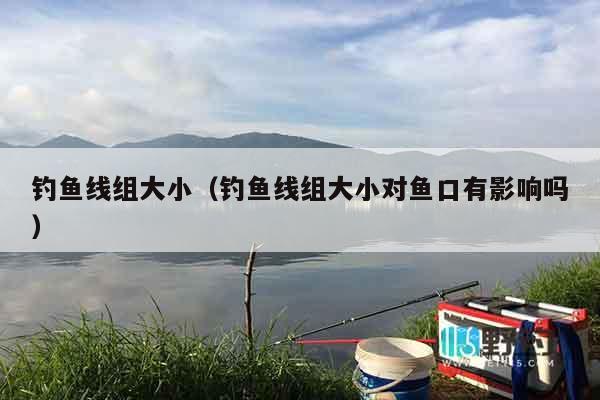 钓鱼线组大小（钓鱼线组大小对鱼口有影响吗）
