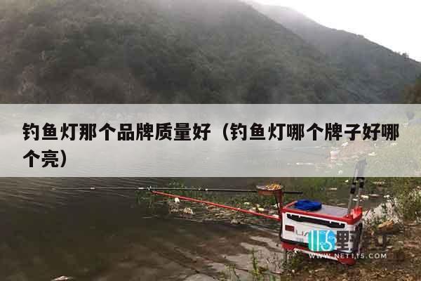 钓鱼灯那个品牌质量好（钓鱼灯哪个牌子好哪个亮）