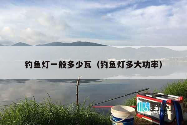 钓鱼灯一般多少瓦（钓鱼灯多大功率）