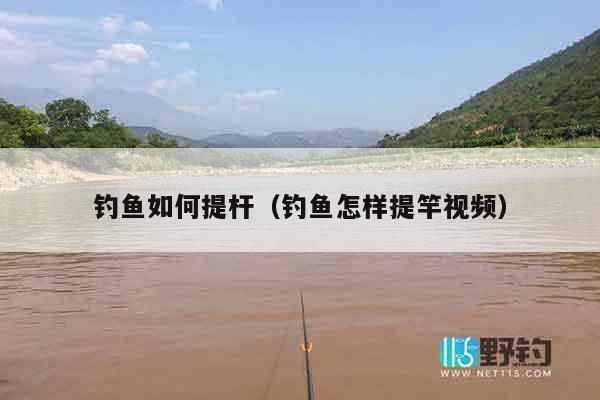 钓鱼如何提杆（钓鱼怎样提竿视频）