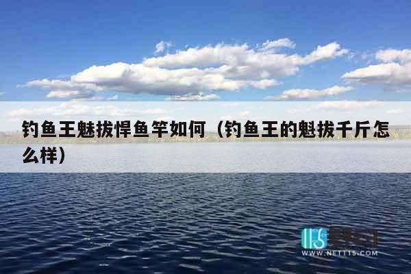 钓鱼王魅拔悍鱼竿如何（钓鱼王的魁拔千斤怎么样）