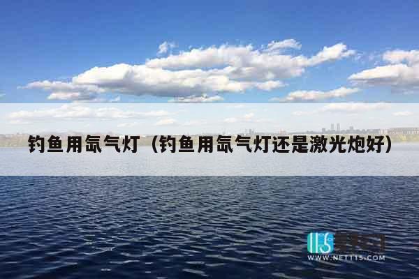 钓鱼用氙气灯（钓鱼用氙气灯还是激光炮好）
