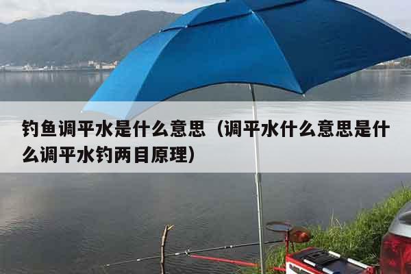 钓鱼调平水是什么意思（调平水什么意思是什么调平水钓两目原理）