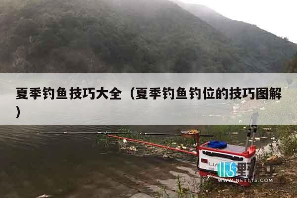 夏季钓鱼技巧大全（夏季钓鱼钓位的技巧图解）