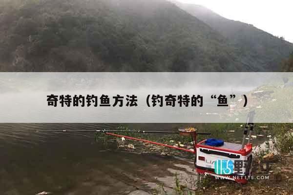 奇特的钓鱼方法（钓奇特的“鱼”）