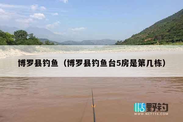 博罗县钓鱼（博罗县钓鱼台5房是第几栋）