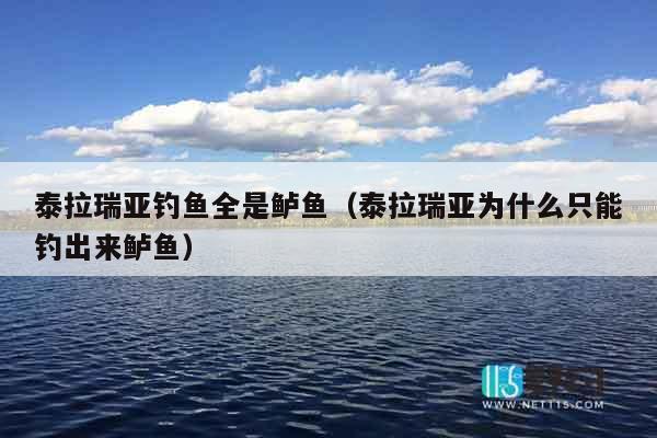 泰拉瑞亚钓鱼全是鲈鱼（泰拉瑞亚为什么只能钓出来鲈鱼）