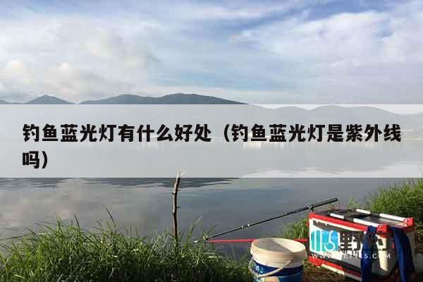 钓鱼蓝光灯有什么好处（钓鱼蓝光灯是紫外线吗）