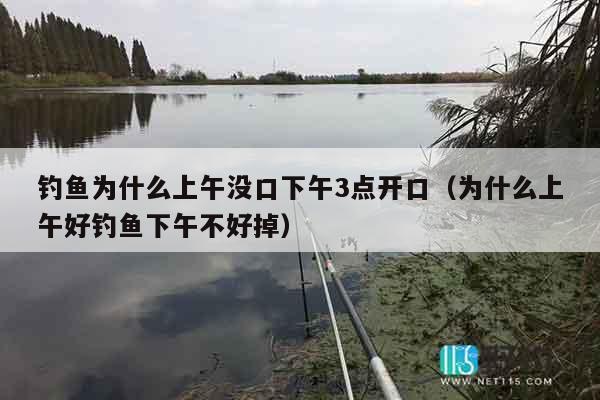 钓鱼为什么上午没口下午3点开口（为什么上午好钓鱼下午不好掉）