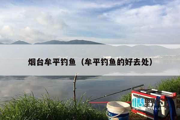 烟台牟平钓鱼（牟平钓鱼的好去处）