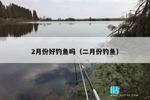 2月份好钓鱼吗（二月份钓鱼）