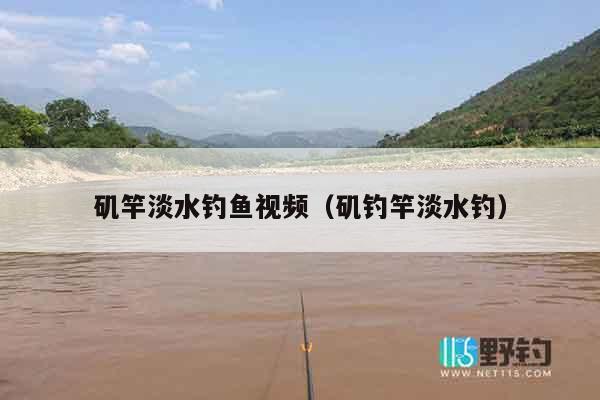 矶竿淡水钓鱼视频（矶钓竿淡水钓）