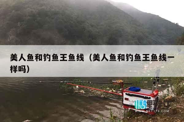 美人鱼和钓鱼王鱼线（美人鱼和钓鱼王鱼线一样吗）
