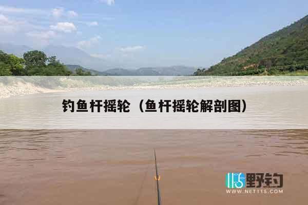 钓鱼杆摇轮（鱼杆摇轮解剖图）