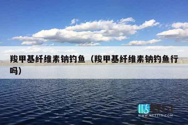 羧甲基纤维素钠钓鱼（羧甲基纤维素钠钓鱼行吗）