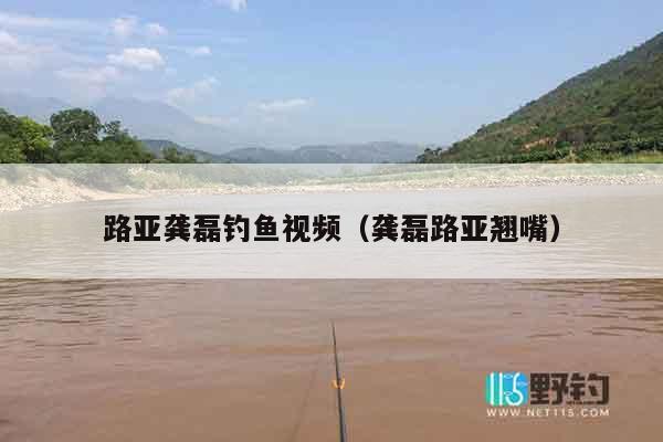 路亚龚磊钓鱼视频（龚磊路亚翘嘴）