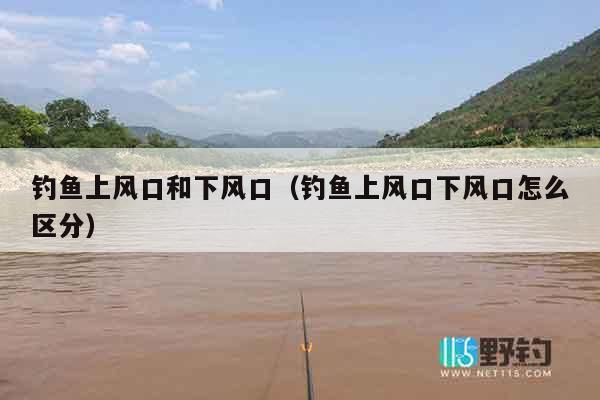 钓鱼上风口和下风口（钓鱼上风口下风口怎么区分）