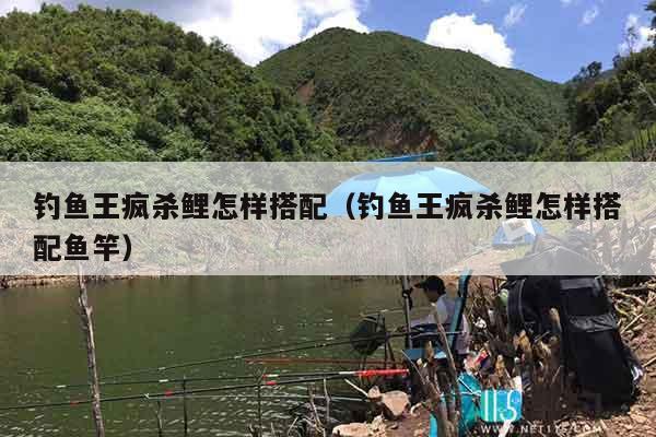 钓鱼王疯杀鲤怎样搭配（钓鱼王疯杀鲤怎样搭配鱼竿）
