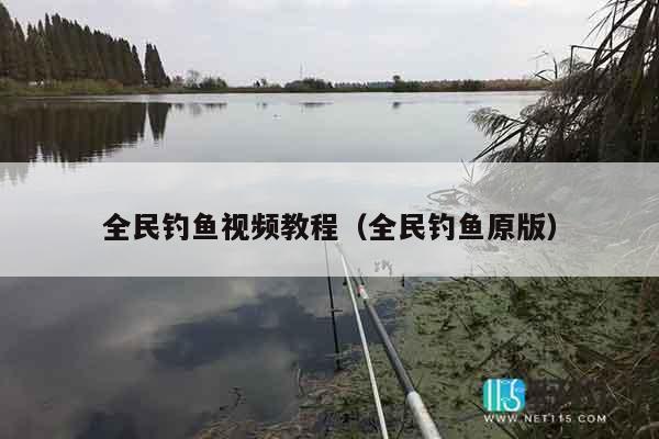 全民钓鱼视频教程（全民钓鱼原版）