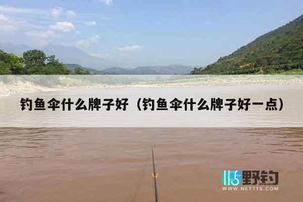 钓鱼伞什么牌子好（钓鱼伞什么牌子好一点）