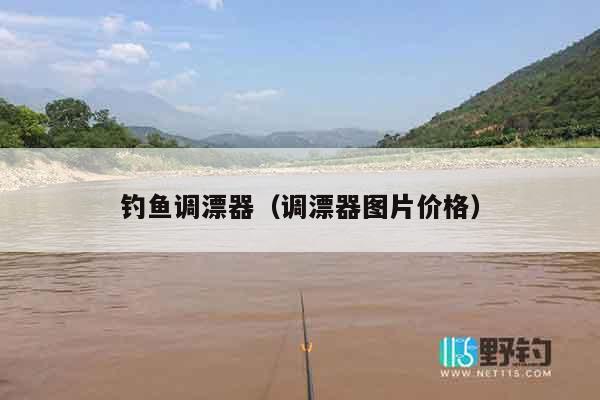 钓鱼调漂器（调漂器图片价格）