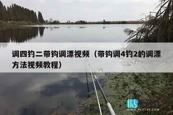 调四钓二带钩调漂视频（带钩调4钓2的调漂方法视频教程）