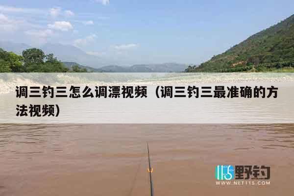 调三钓三怎么调漂视频（调三钓三最准确的方法视频）