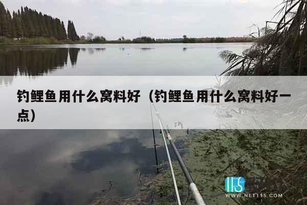 钓鲤鱼用什么窝料好（钓鲤鱼用什么窝料好一点）
