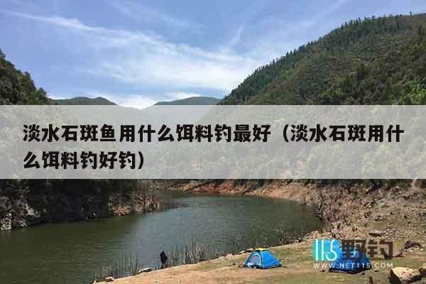 淡水石斑鱼用什么饵料钓最好（淡水石斑用什么饵料钓好钓）