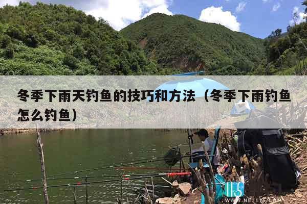 冬季下雨天钓鱼的技巧和方法（冬季下雨钓鱼怎么钓鱼）