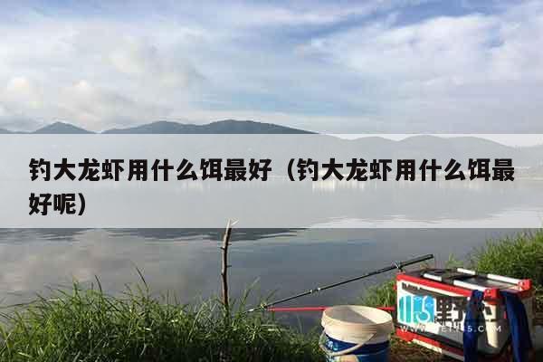 钓大龙虾用什么饵最好（钓大龙虾用什么饵最好呢）