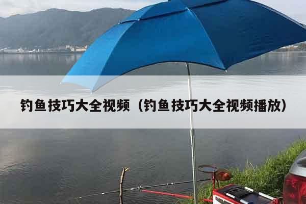 钓鱼技巧大全视频（钓鱼技巧大全视频播放）