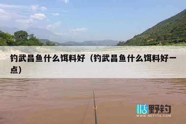 钓武昌鱼什么饵料好（钓武昌鱼什么饵料好一点）