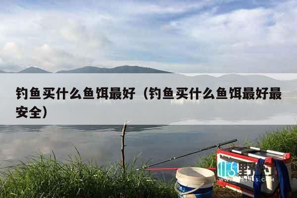 钓鱼买什么鱼饵最好（钓鱼买什么鱼饵最好最安全）