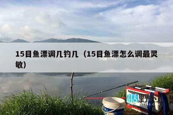15目鱼漂调几钓几（15目鱼漂怎么调最灵敏）