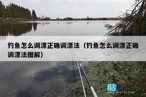 钓鱼怎么调漂正确调漂法（钓鱼怎么调漂正确调漂法图解）